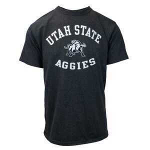 TSHIRT BASIC ARCHED UTAH STATE BULL IN CIRCLE AGGIES BELOW